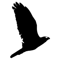 UpTempo Logo