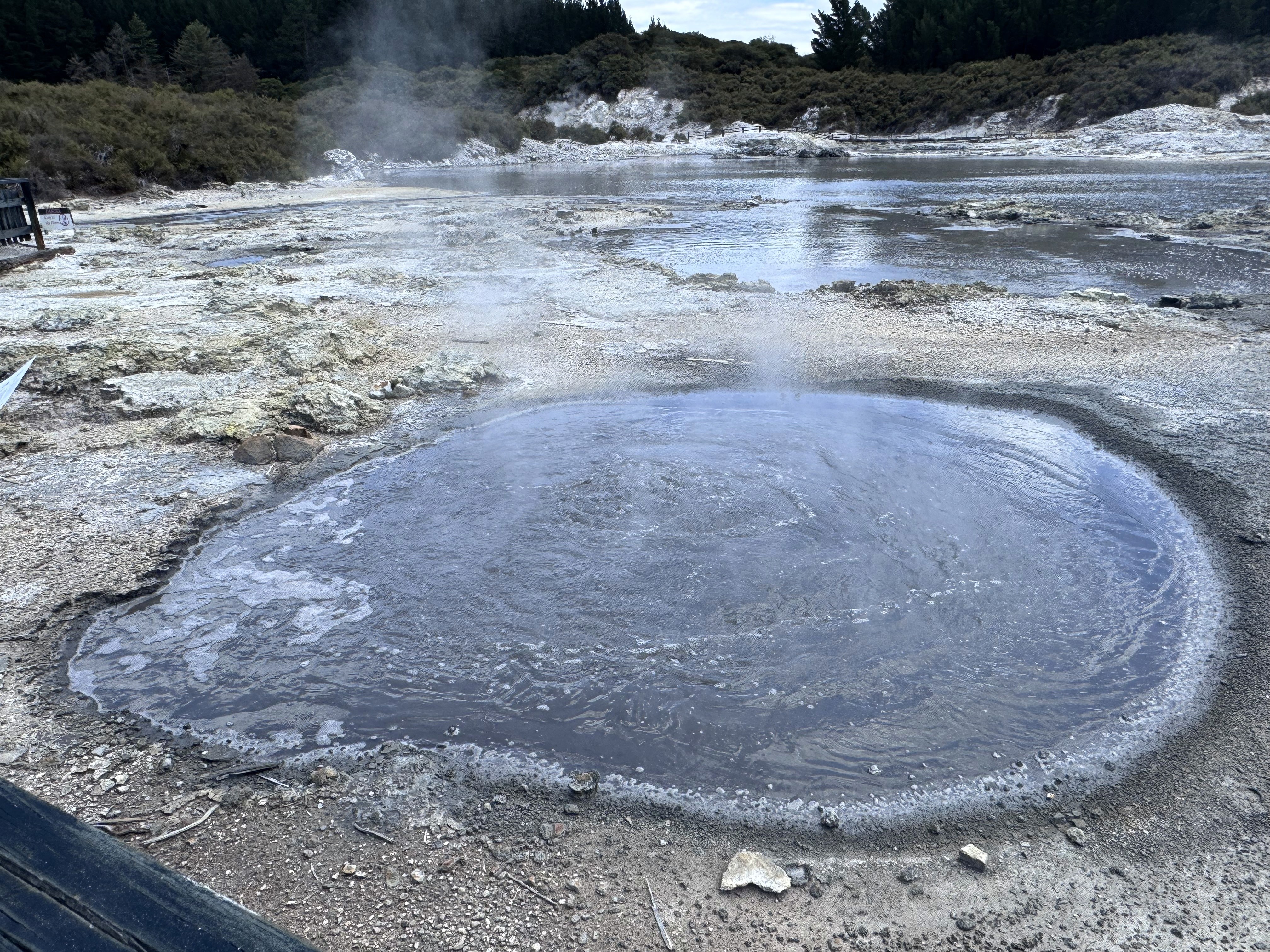 A boiling water pool at Hell's Gate, Rotorua