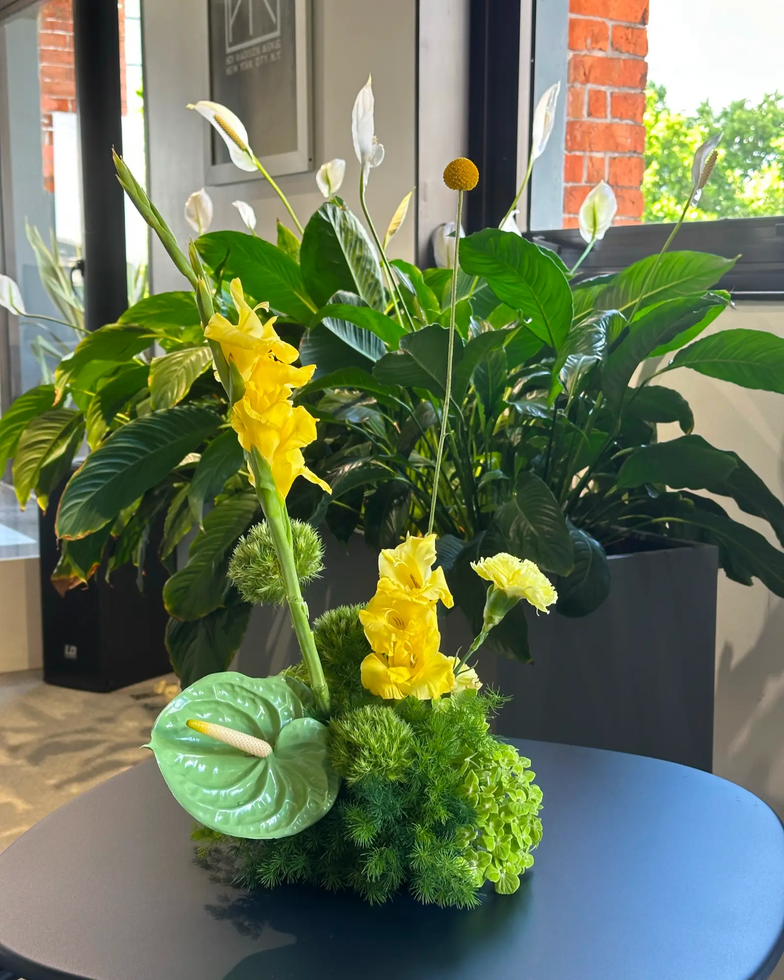 Composición minimalista con anturio verde, gladiolos amarillos y follaje denso sobre mesa moderna.