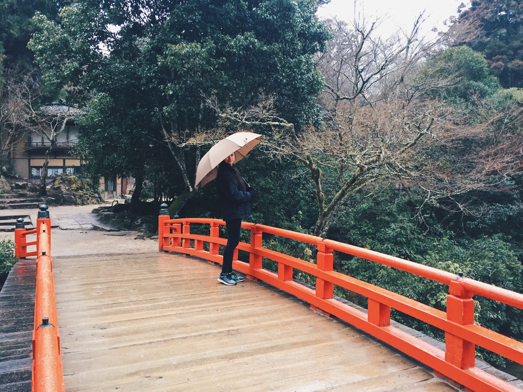 Hiroshima Bridge e1488069984181