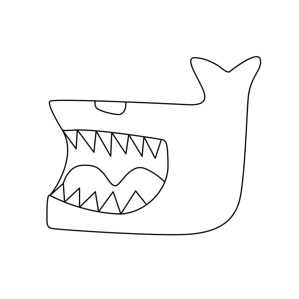 Shark #0xzs8