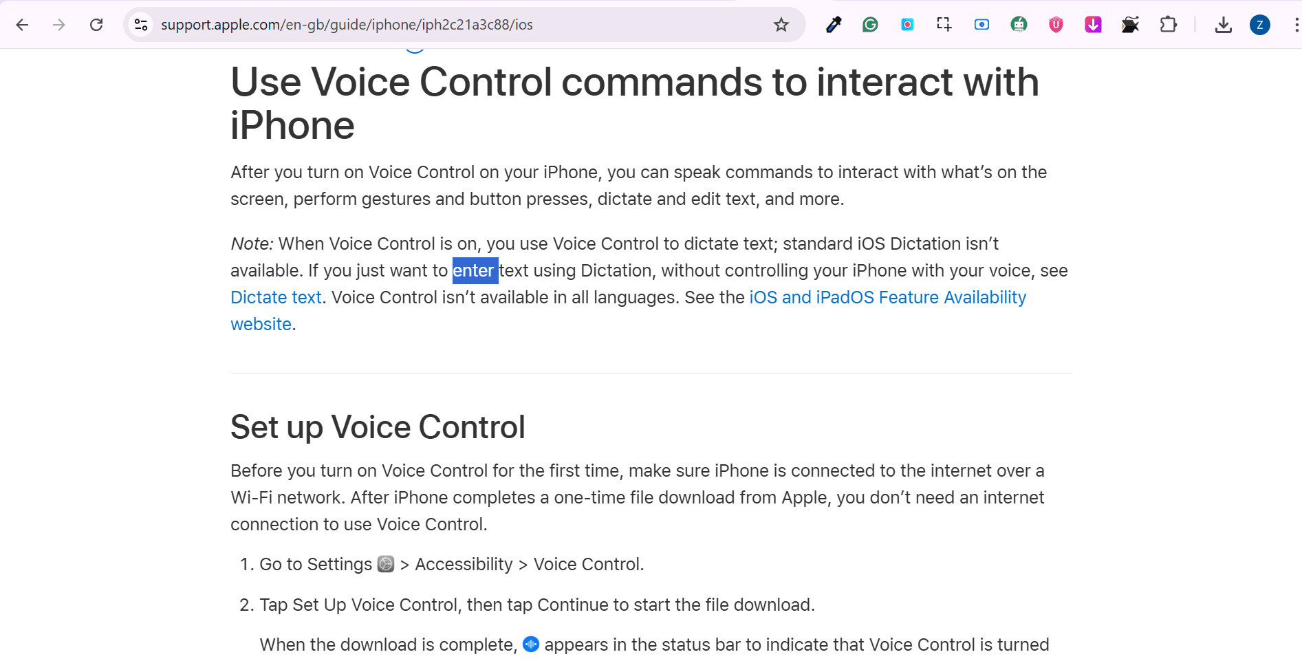 Apple Voice Control & Dictation