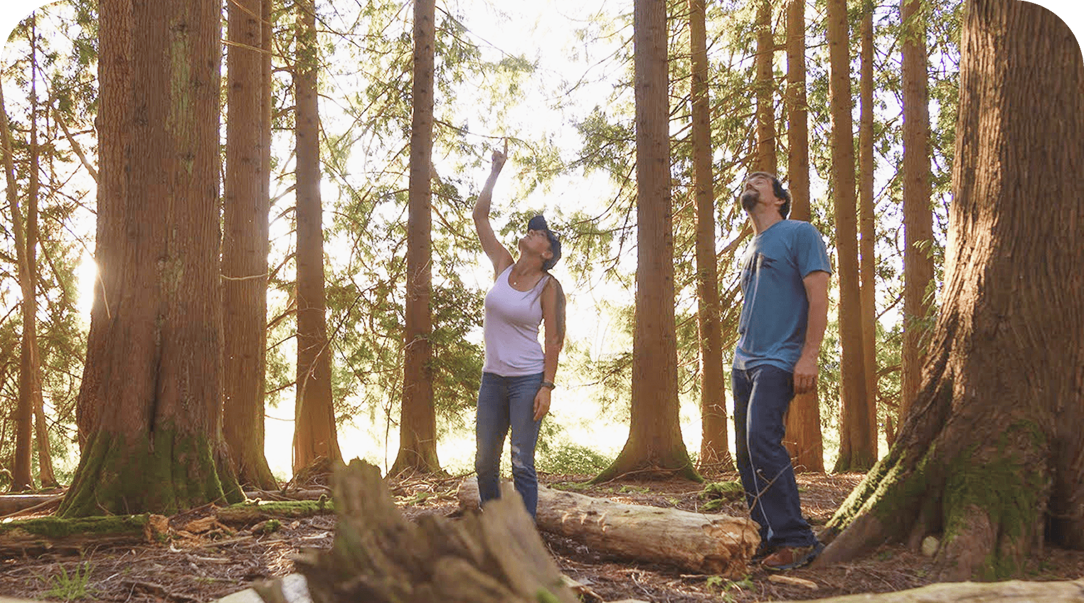 Farming equipment operating in an open field during agricultural work.