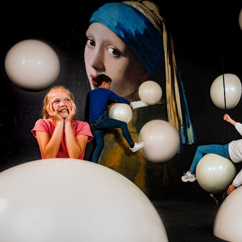 Madurodam: Boleto de entrada en La Haya