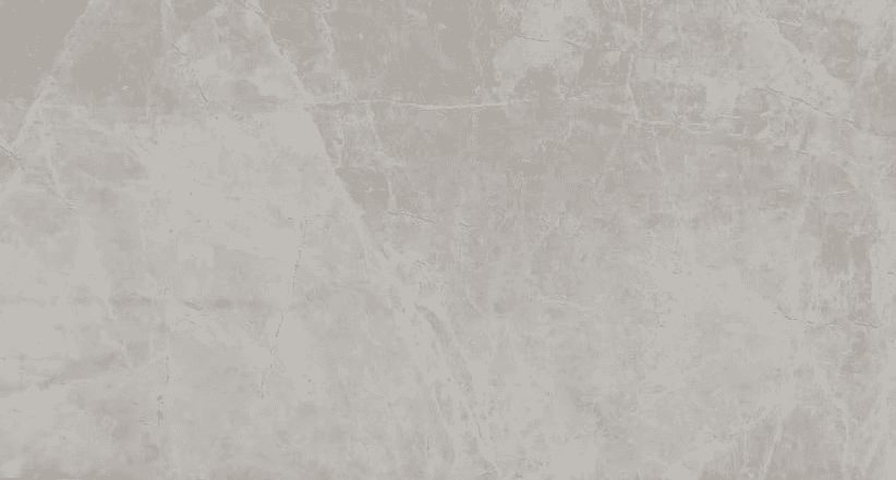 Spider Grey