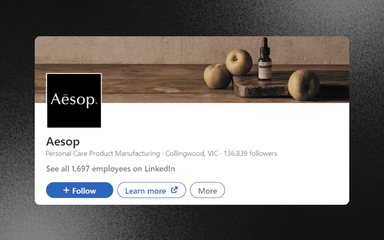Aesop  LinkedIn Banner