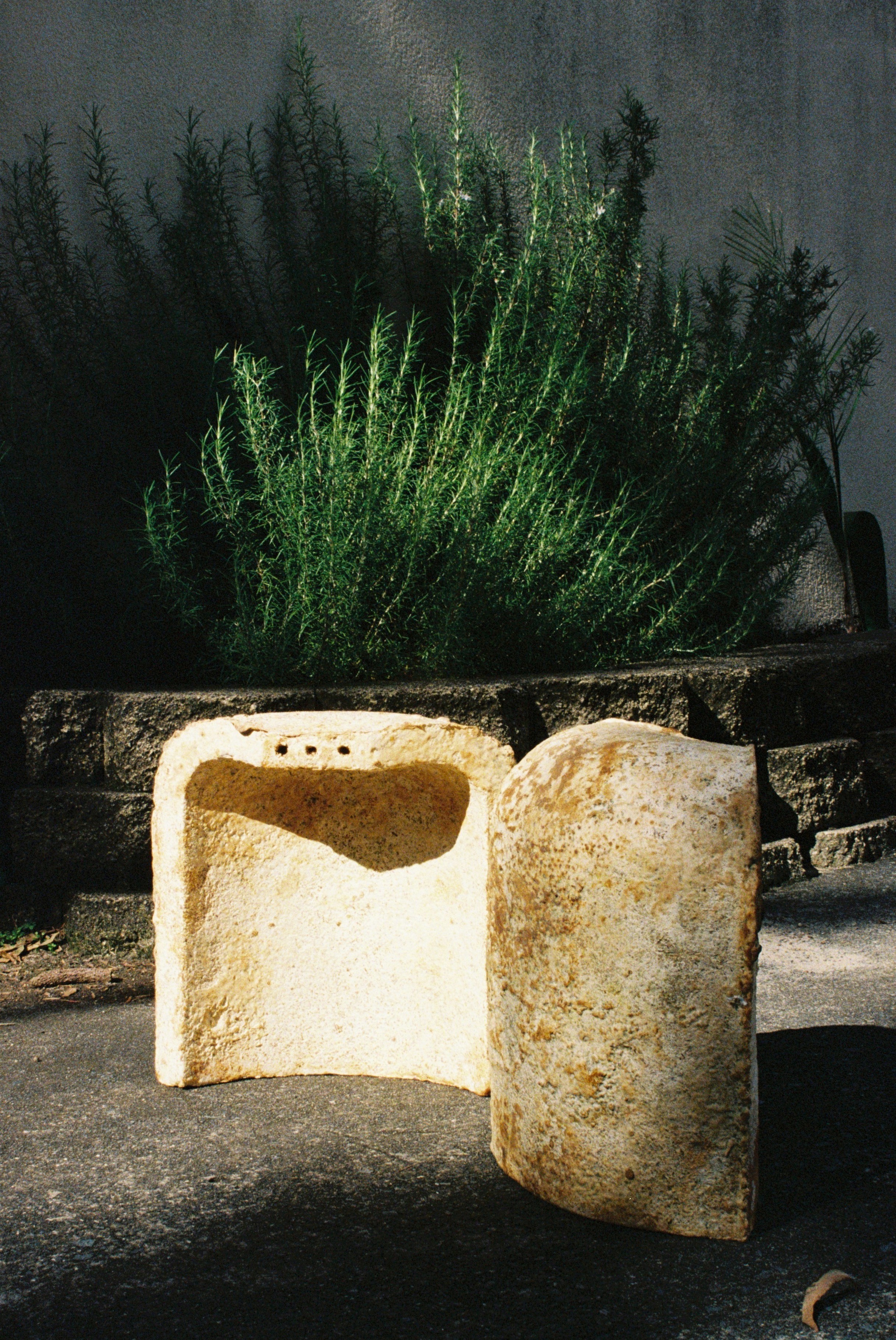 Test mycelium growths