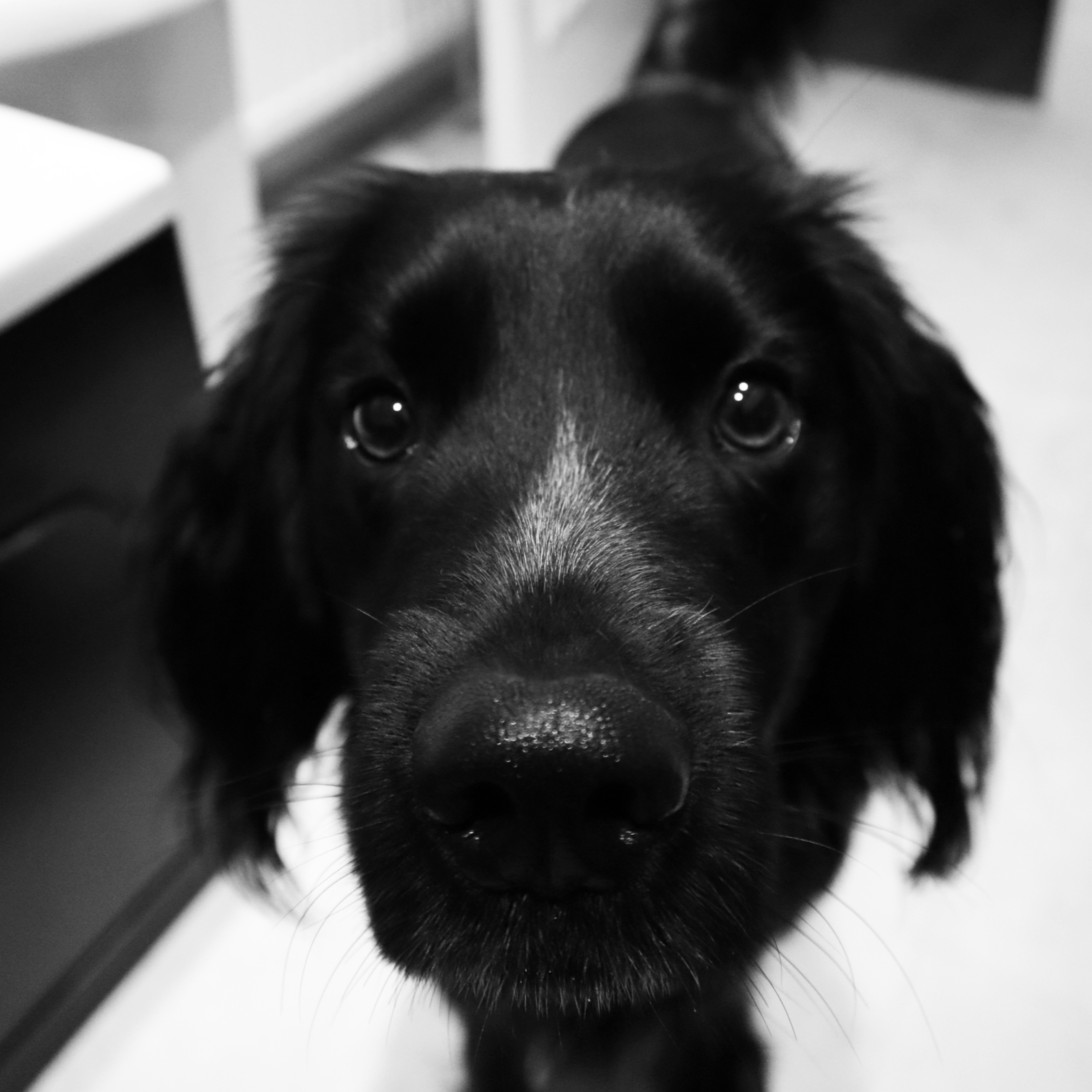 handsome boy