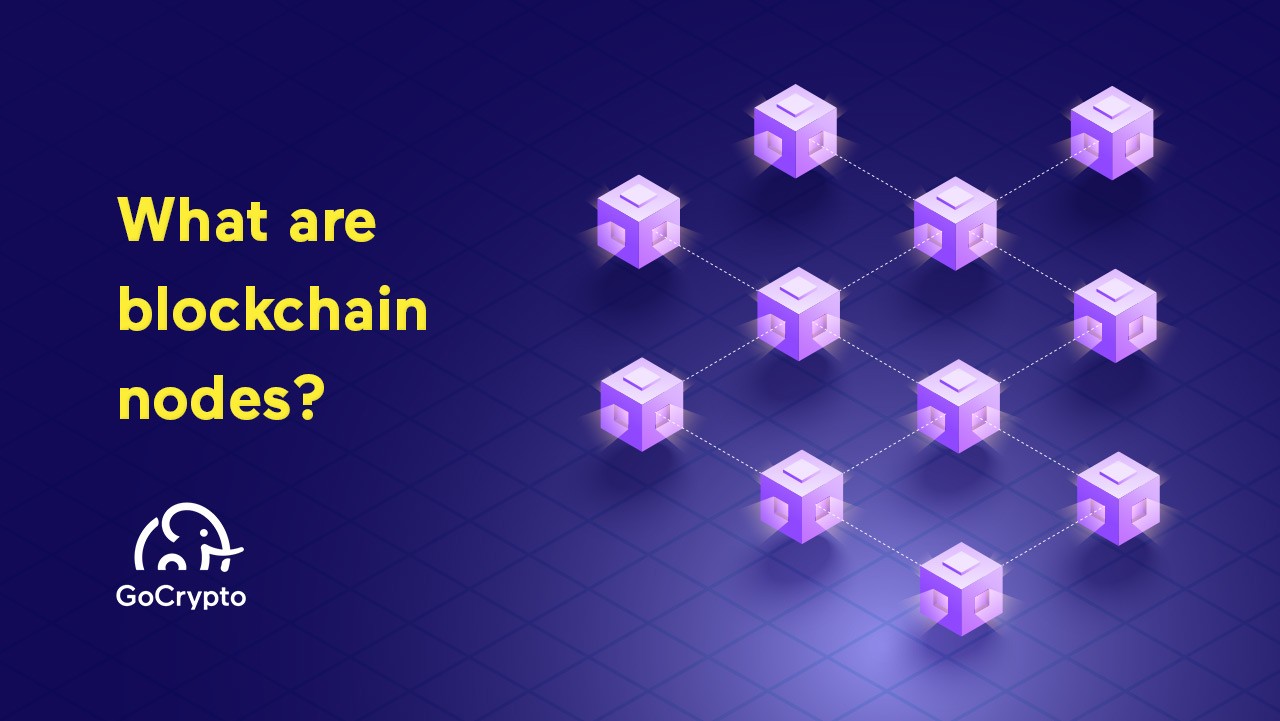 What Are Blockchain Nodes?