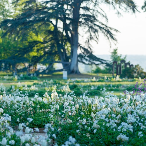 Domaine de Chaumont-sur-Loire: Ulaznice bez čekanja u redu u Chaumont-sur-Loireu