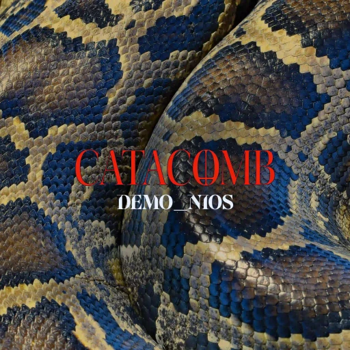 Mathias Cavaglieri Snakes