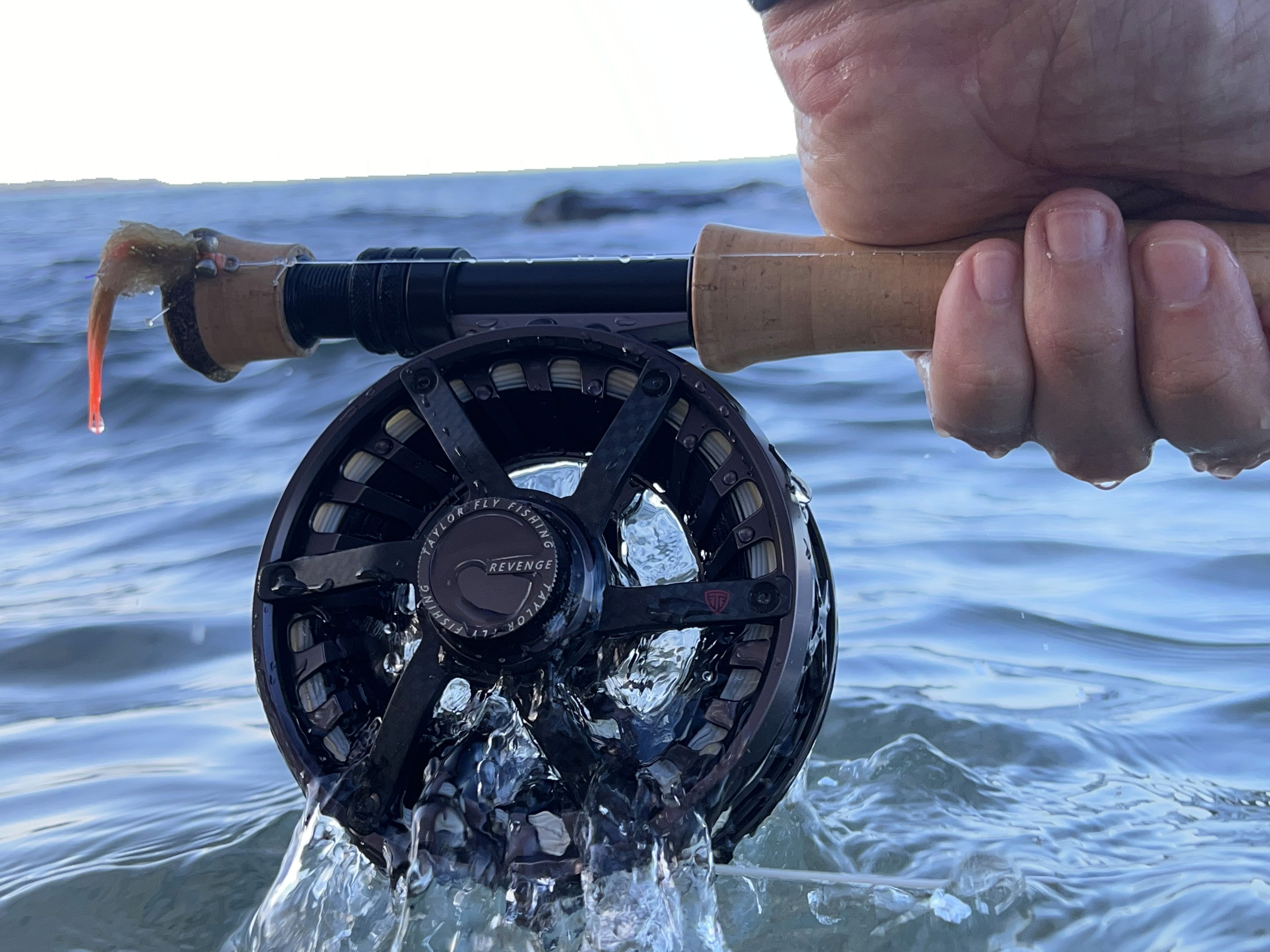 fly fishing reel dunked in saltwater