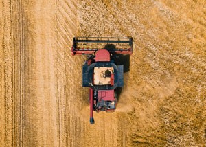 holding soil in hand