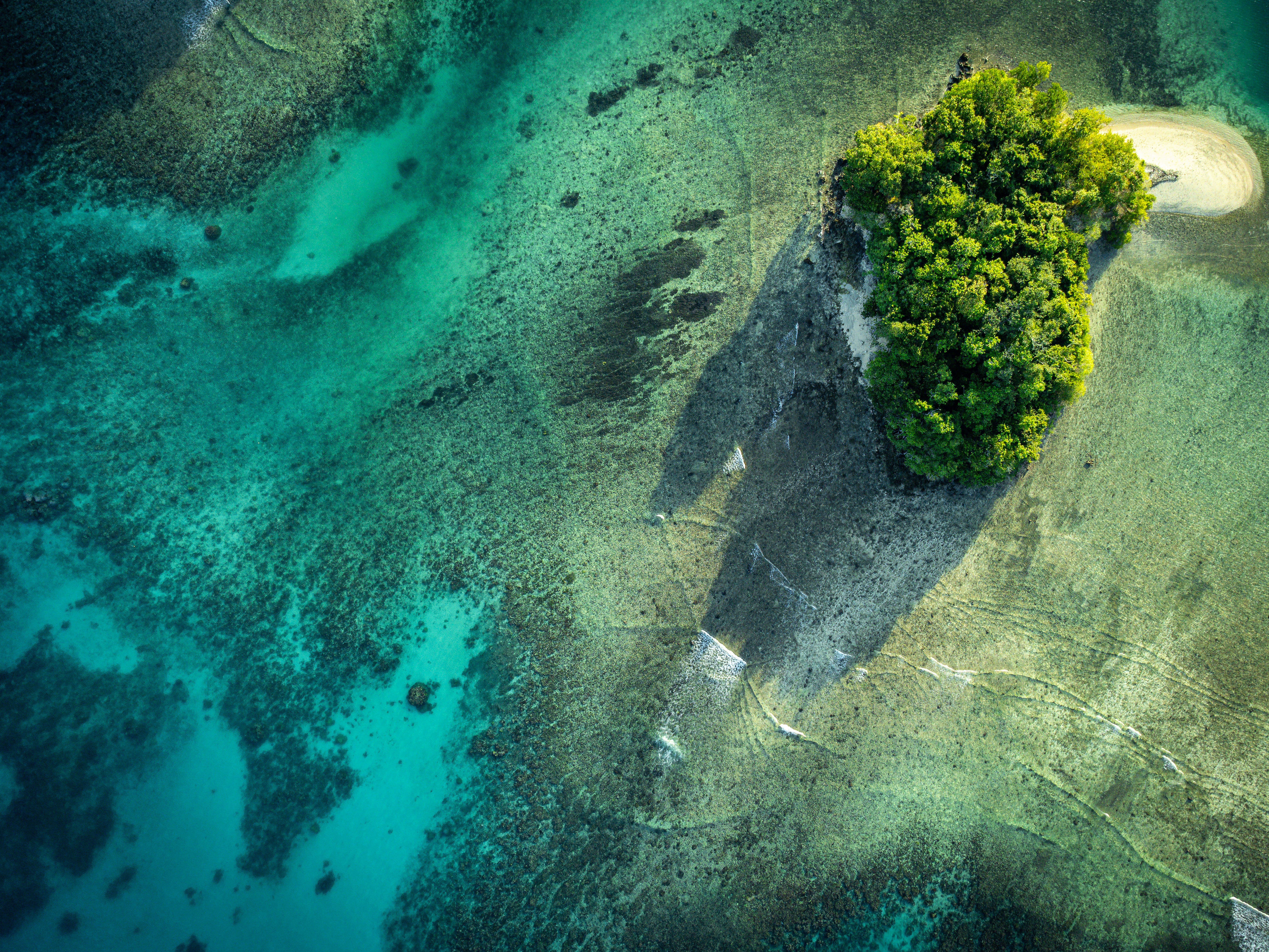 Lush green island surrounded by clear turquoise water