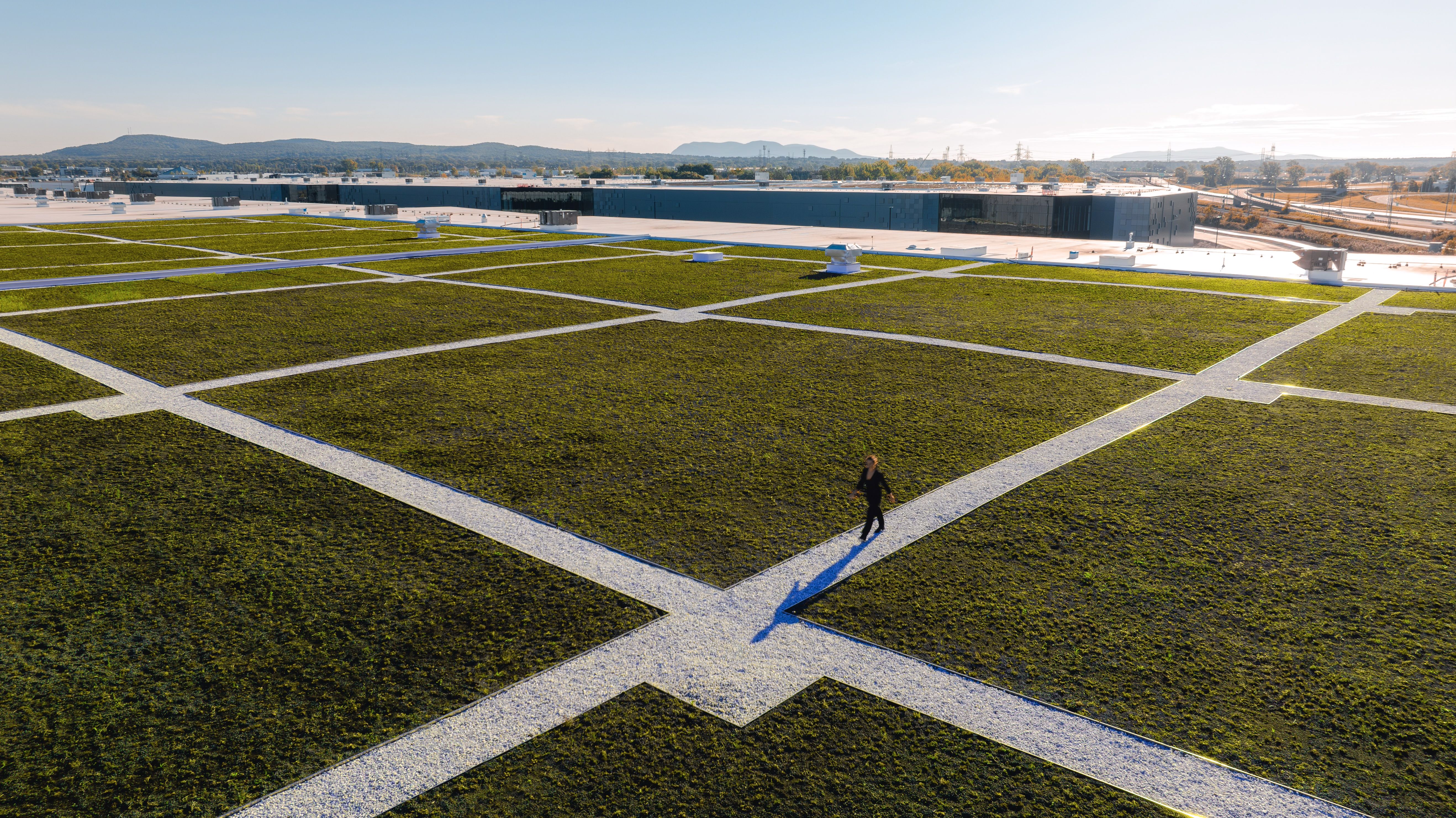 square-shaped grass paths