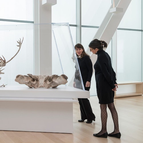 Hai người phụ nữ mặc trang phục màu đen đang xem xét một bức tượng bên trong một tủ trưng bày bằng kính trong một bối cảnh bảo tàng hiện đại, đầy đủ ánh sáng.