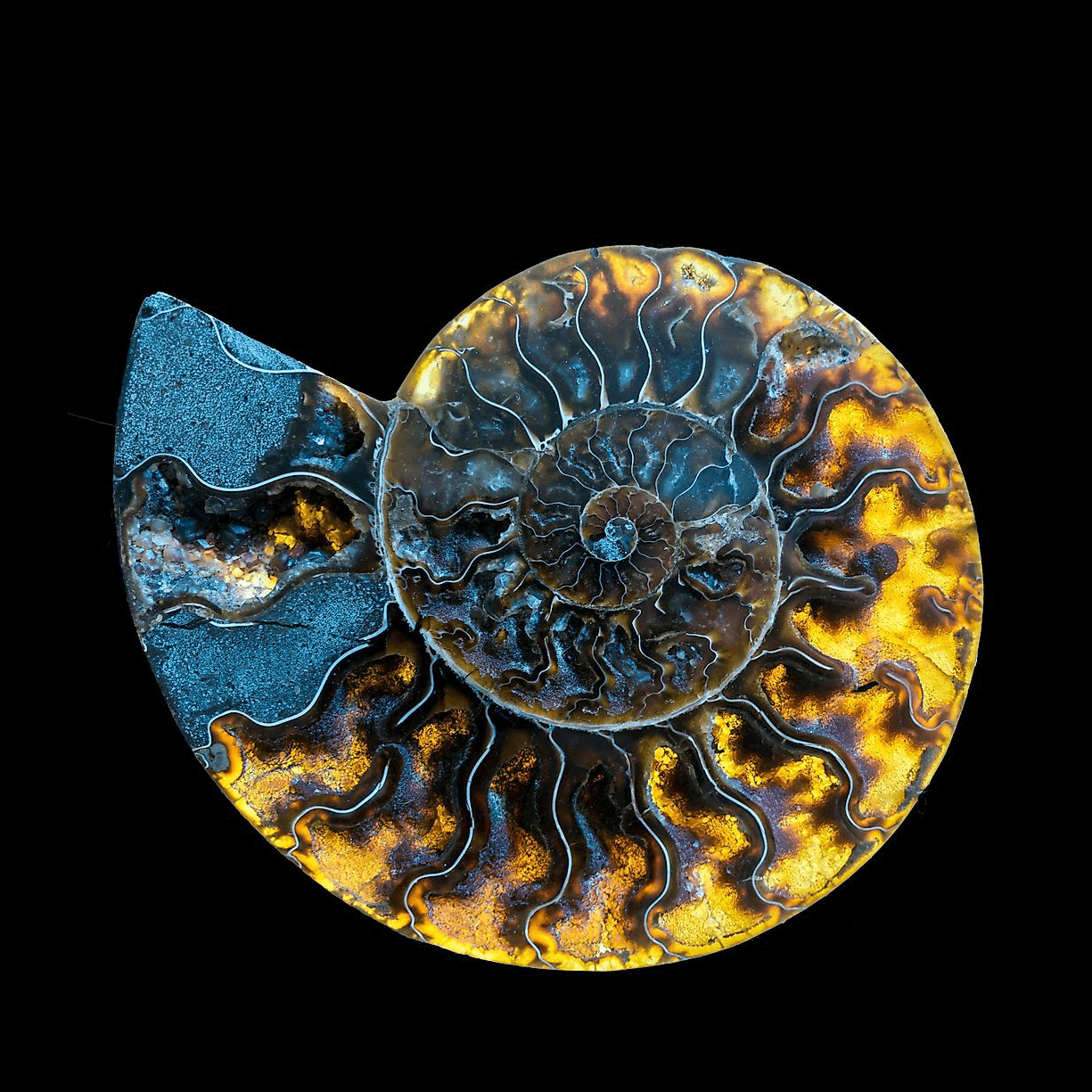 Close-up of a yellow tennis ball sitting on a green court, positioned near the white center line.