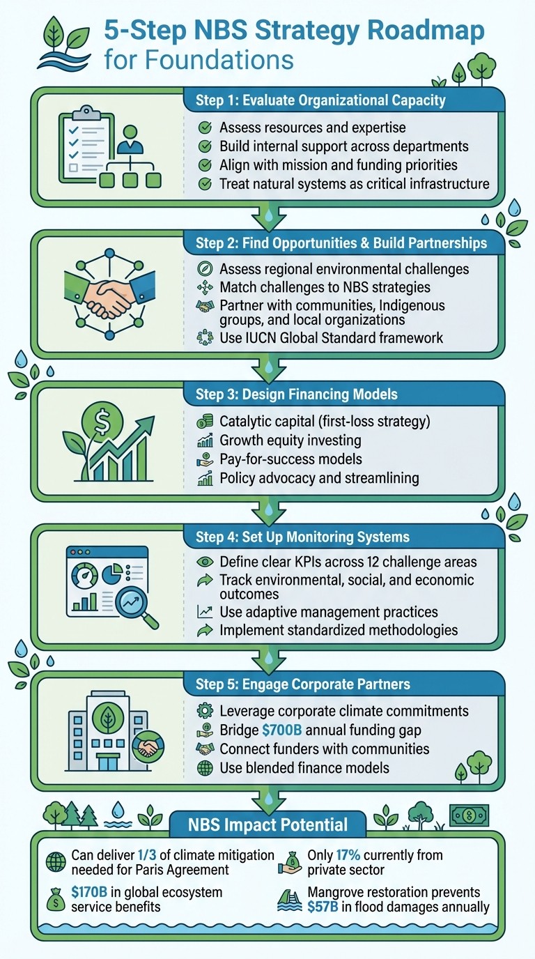 5-Step Nature-Based Solutions Strategy for Foundations