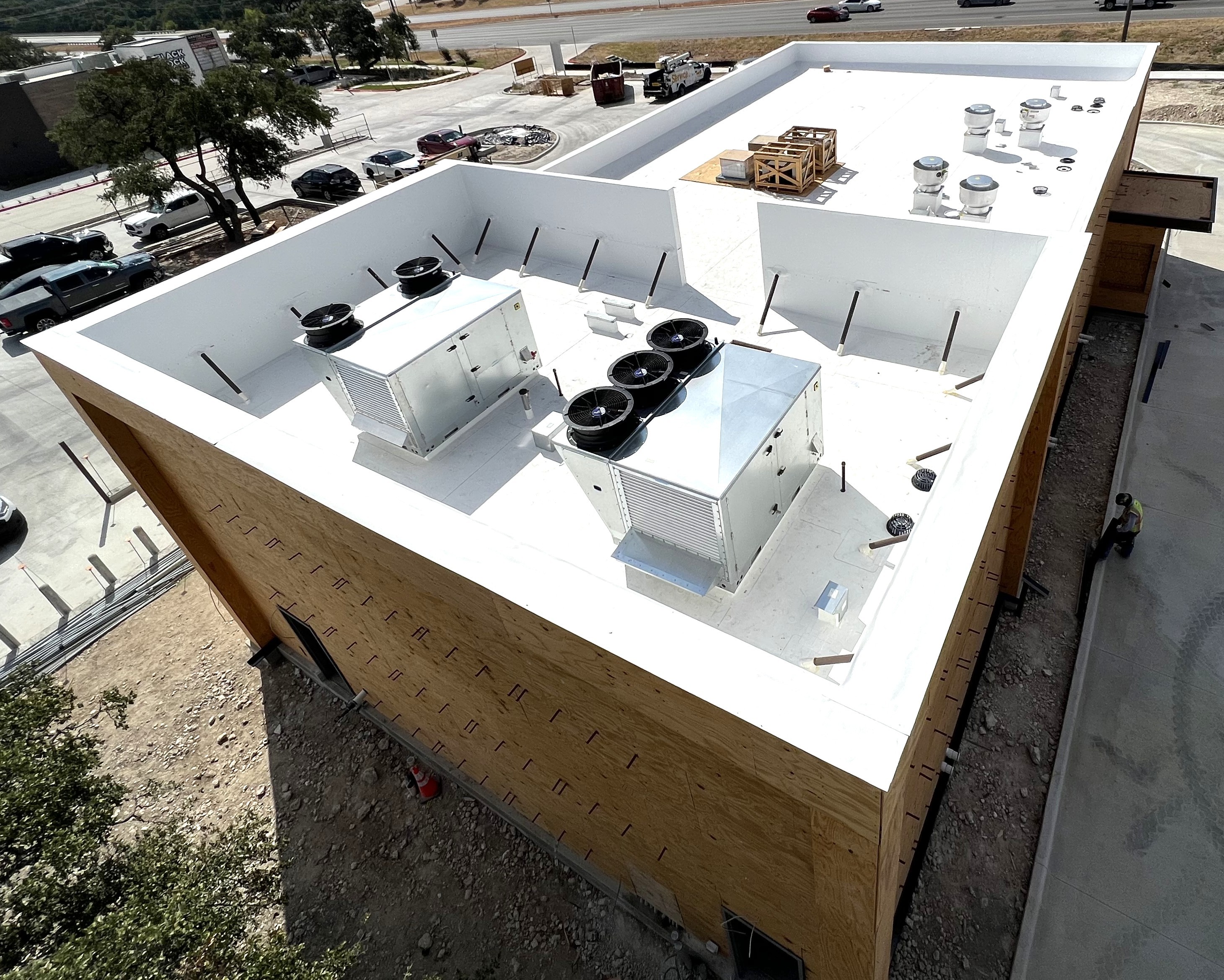 shake shack project