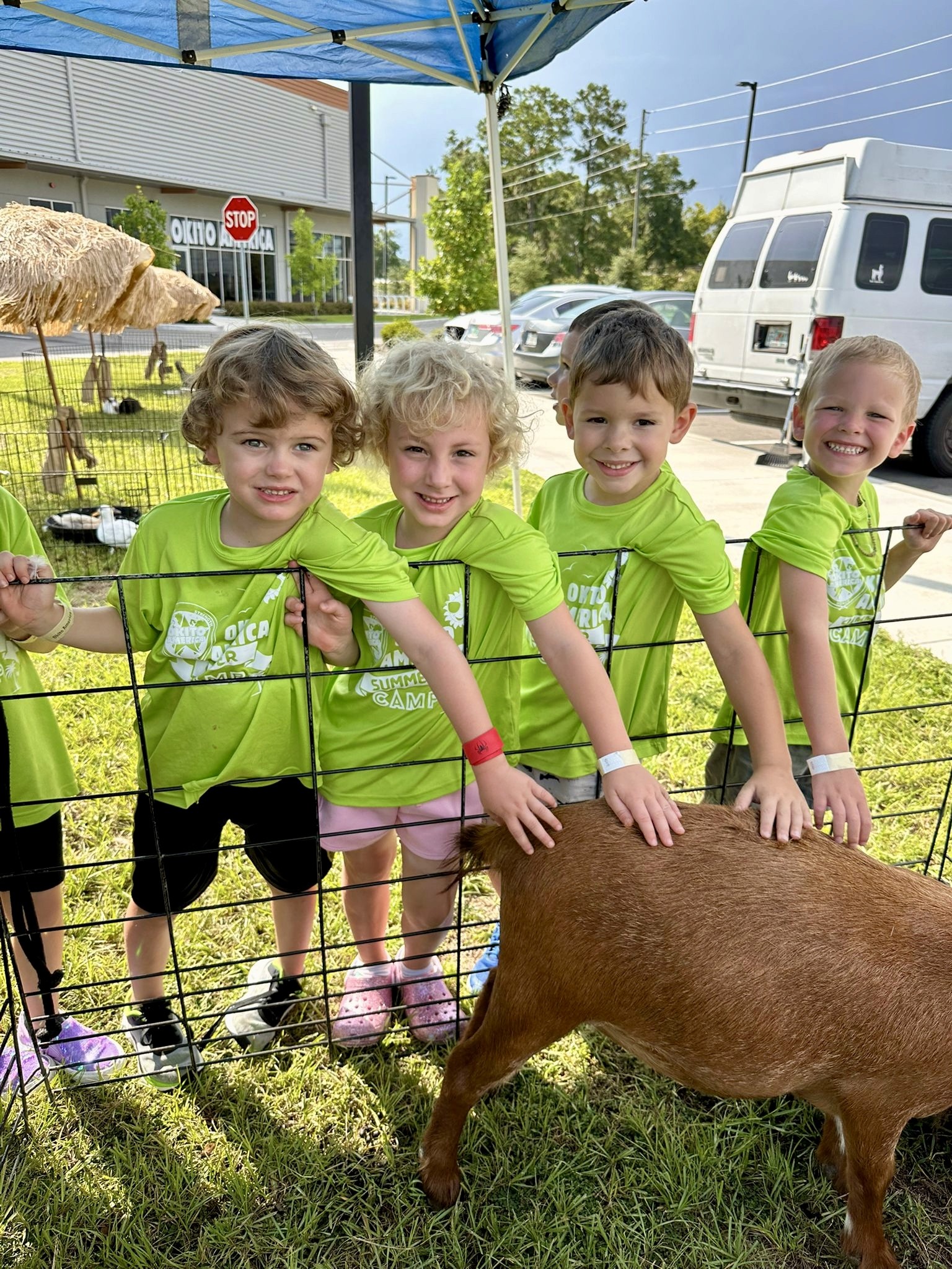 Group of kids smiling while petting an animal.