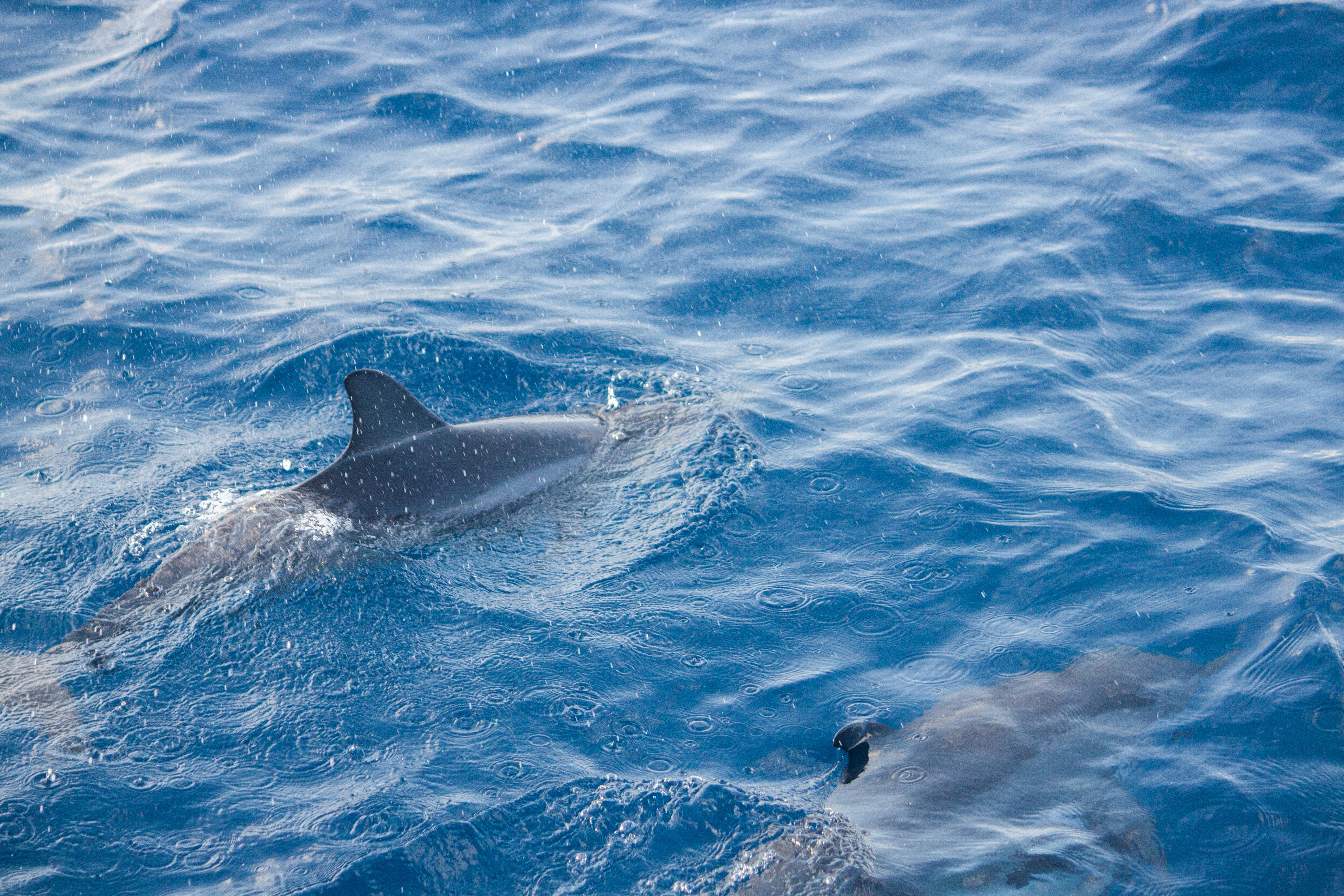 photography of dam during daytime