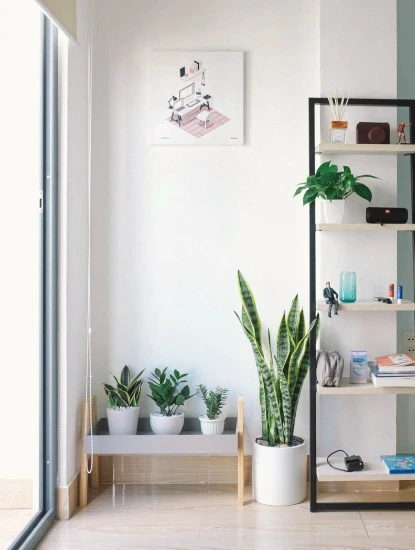 gallery-image-3