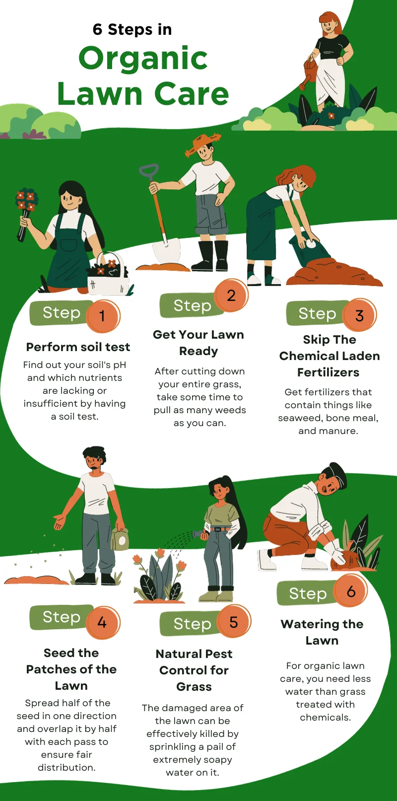 Poster explaining the meaning of diy organic lawn care