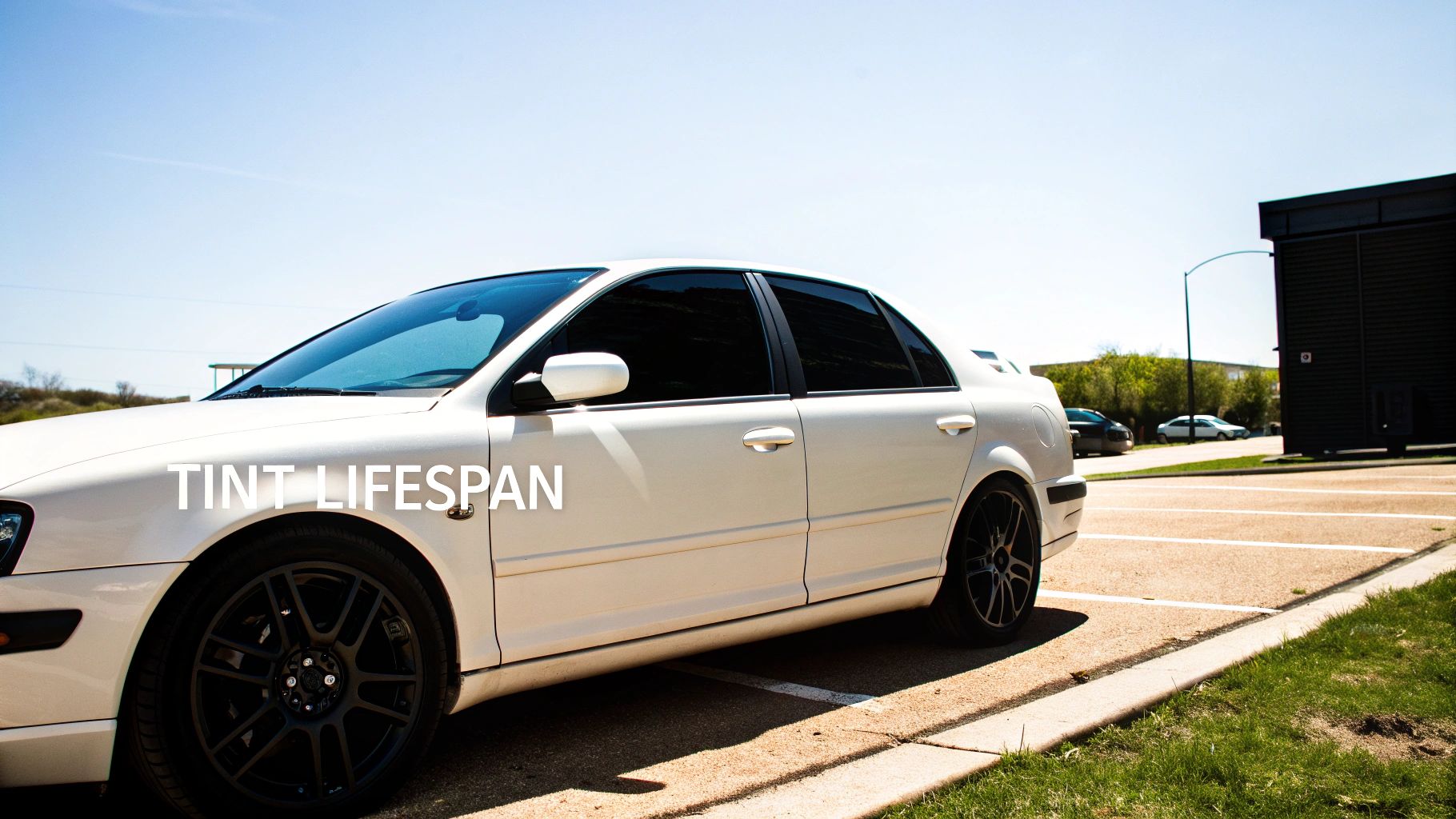 A technician applying window tint film to a car's side window
