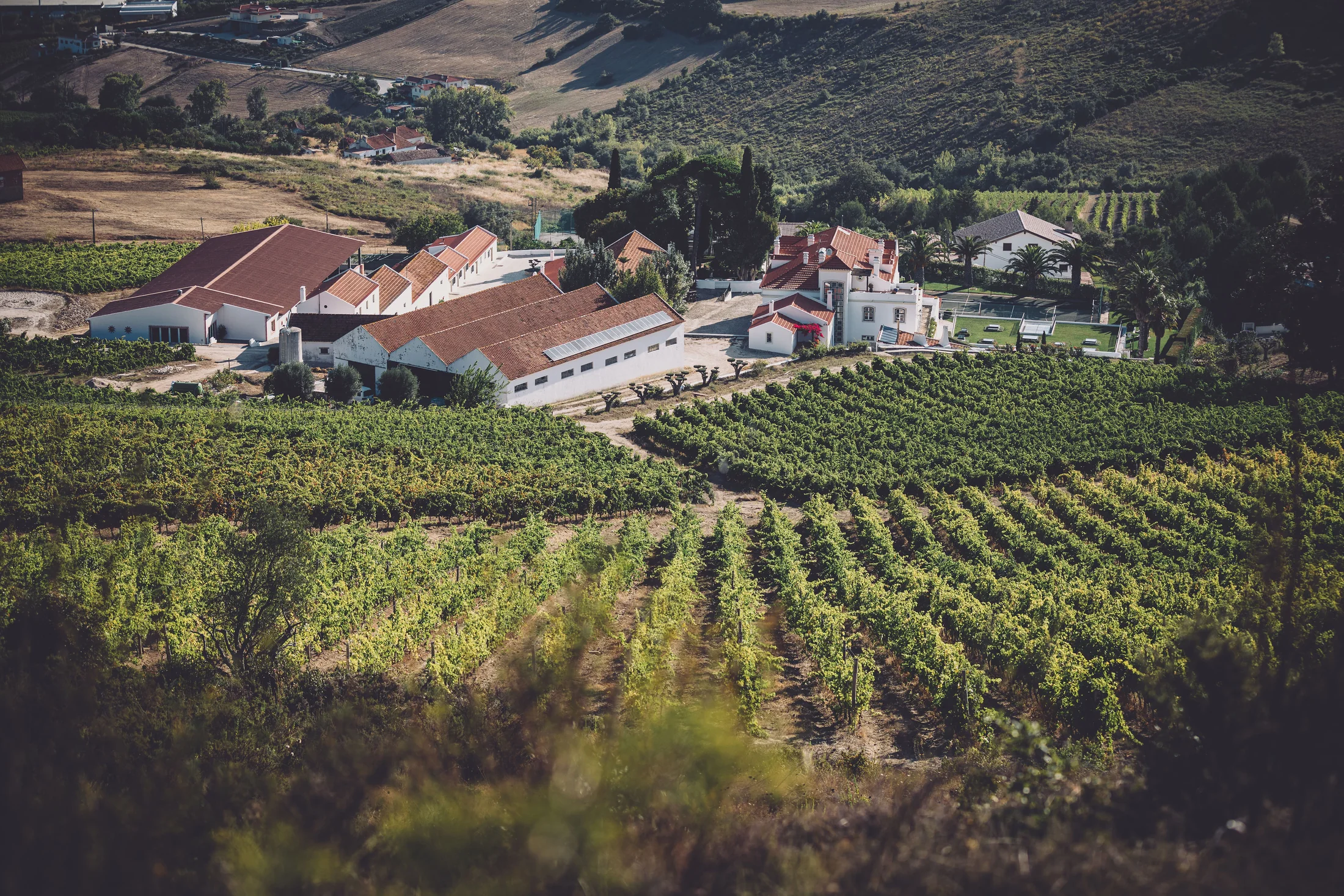 A Quinta entre vinhas e colinas