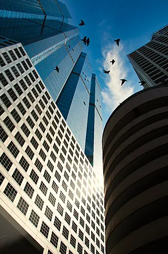 Un gratte-ciel de bureaux, avec un vol d'oiseaux dans le ciel