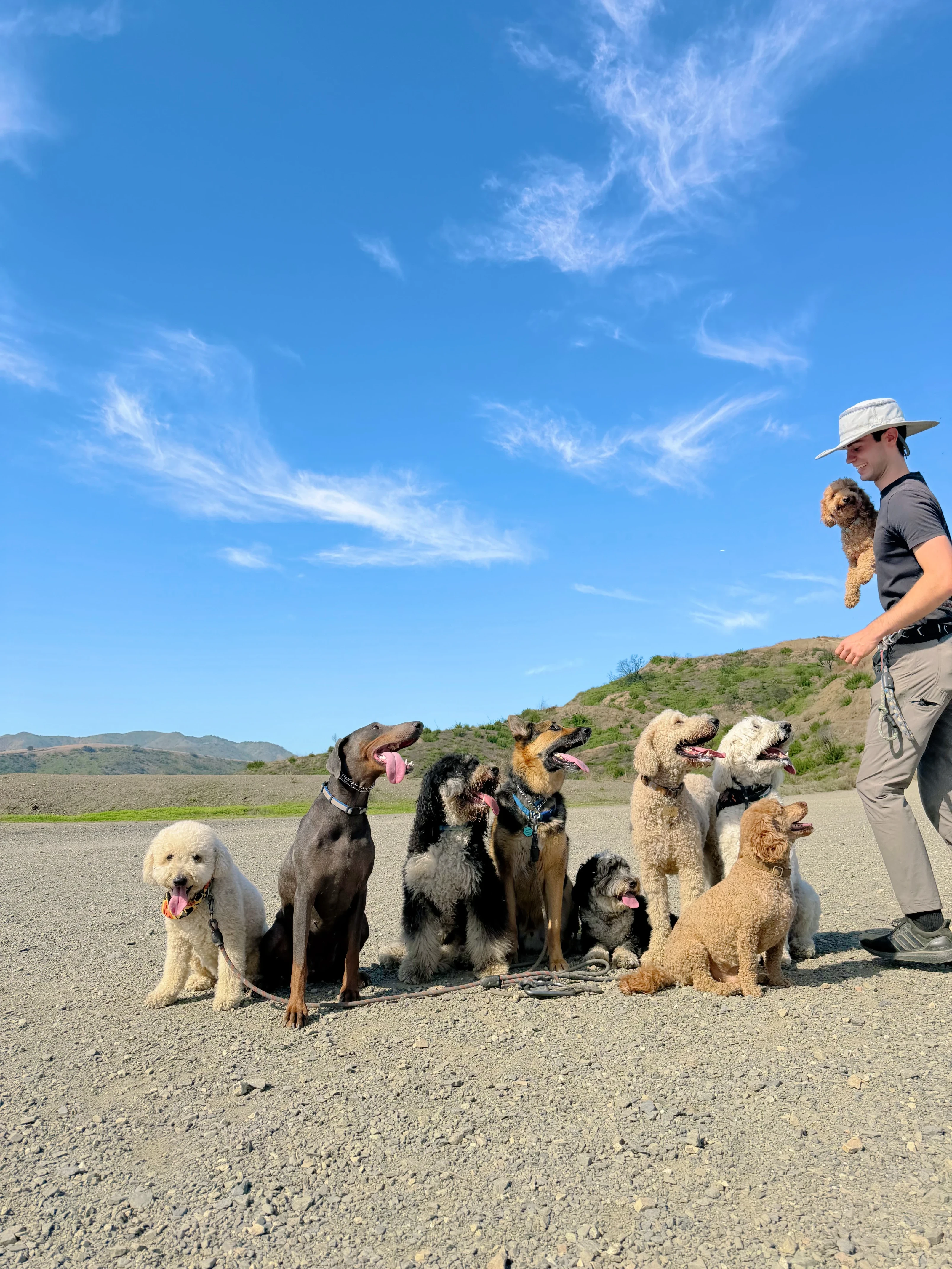 Dog walker holding a puppy beside nine seated dogs