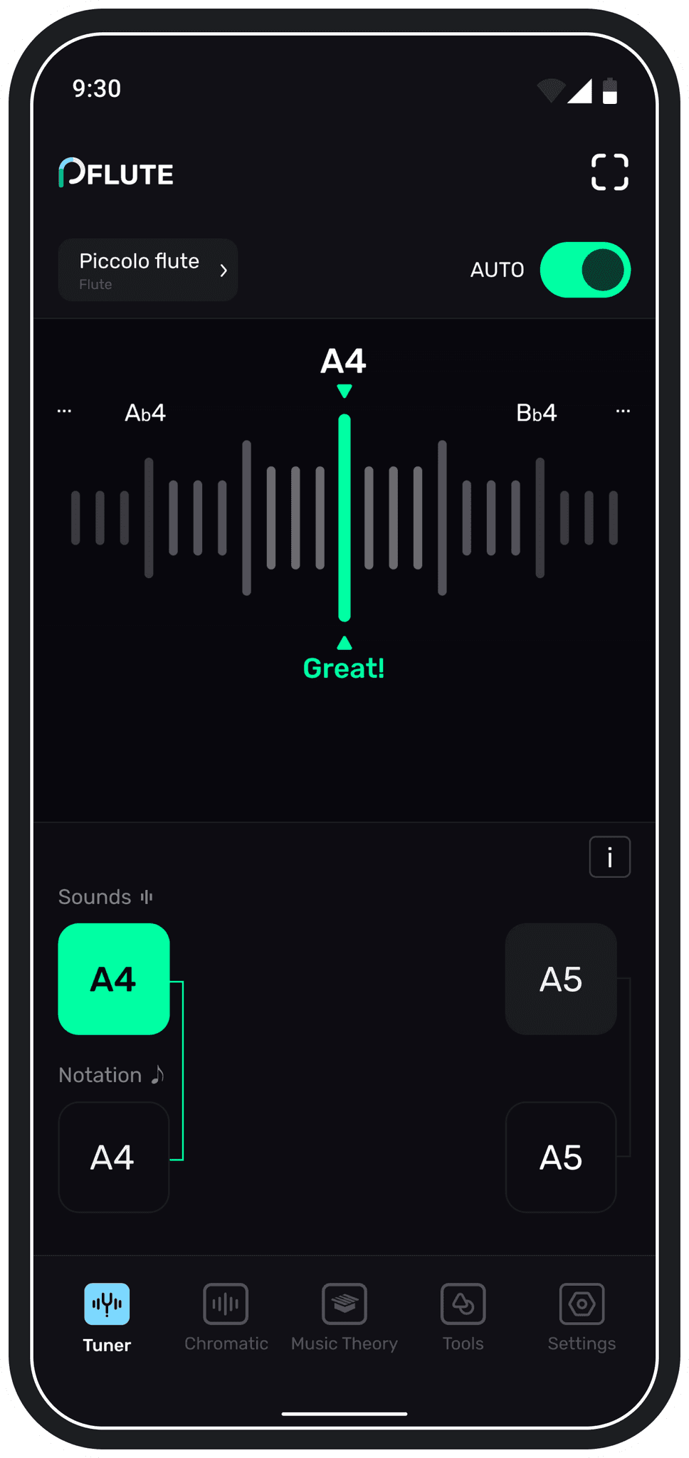 Tuner Guitar Tuning app