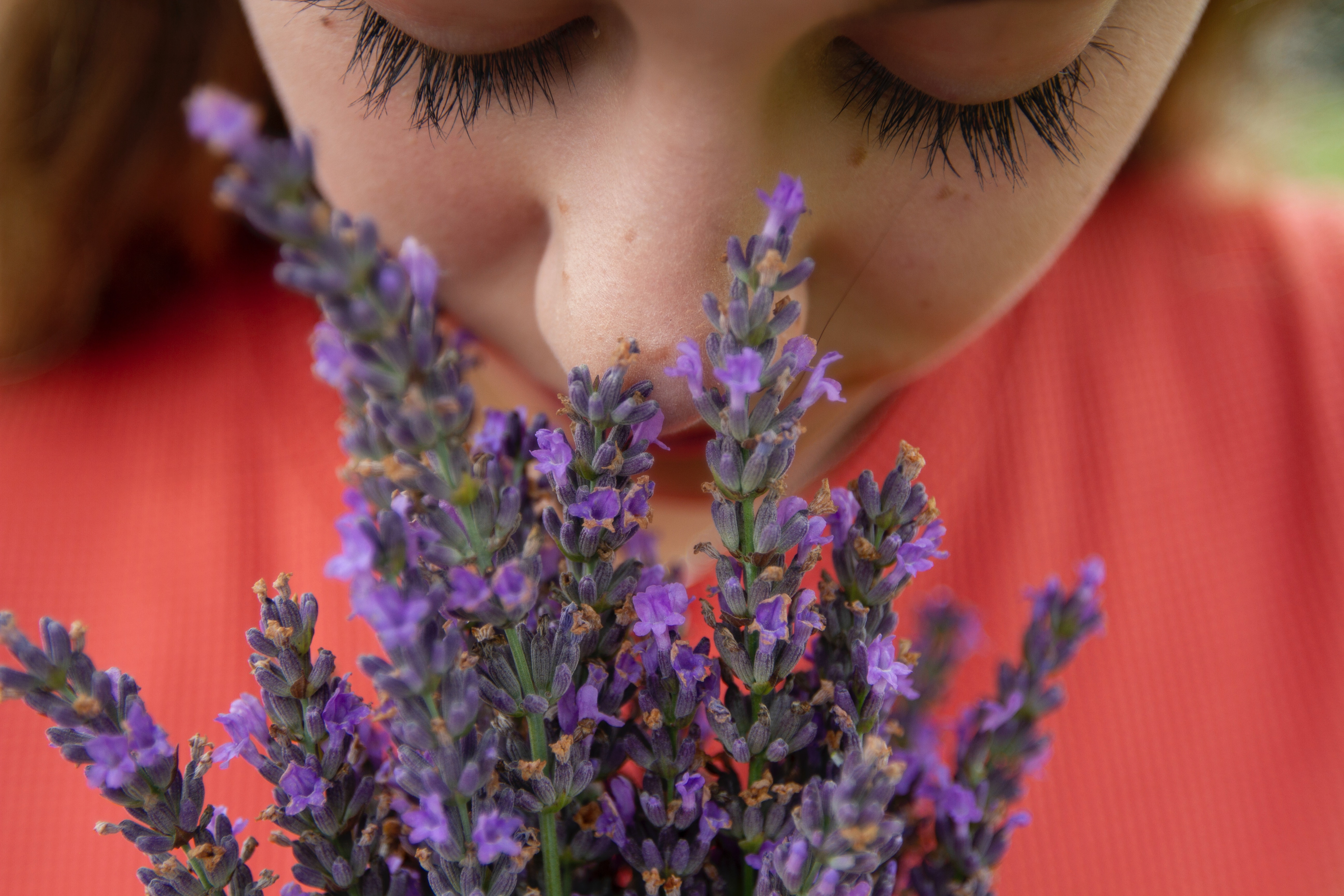 A beautiful girl smelling flowers