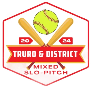 A TeamLinkt Sports League Partner Logo