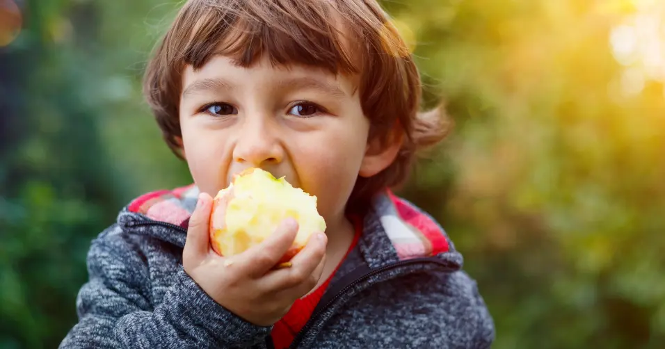 Fructose is a naturally occurring sugar found in fruits and honey.