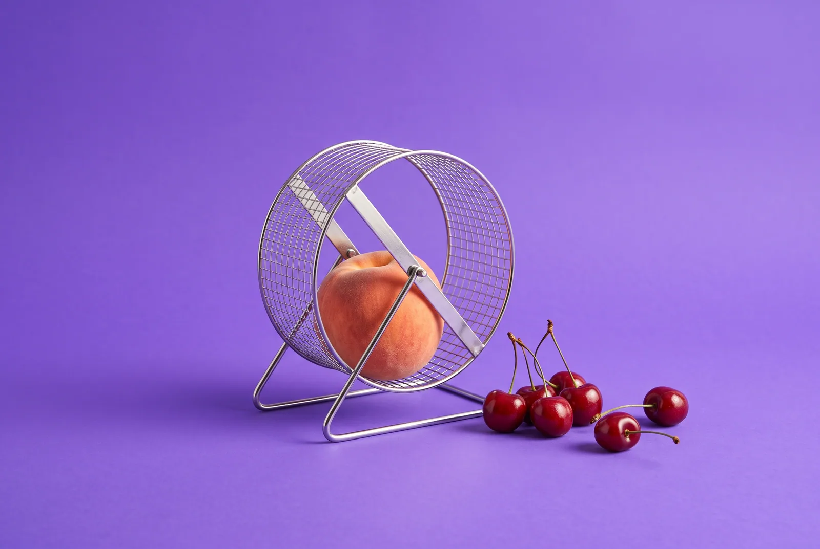 Sexting addiction reward cycle: a ripe peach sitting inside a small hamster wheel on a lilac backdrop