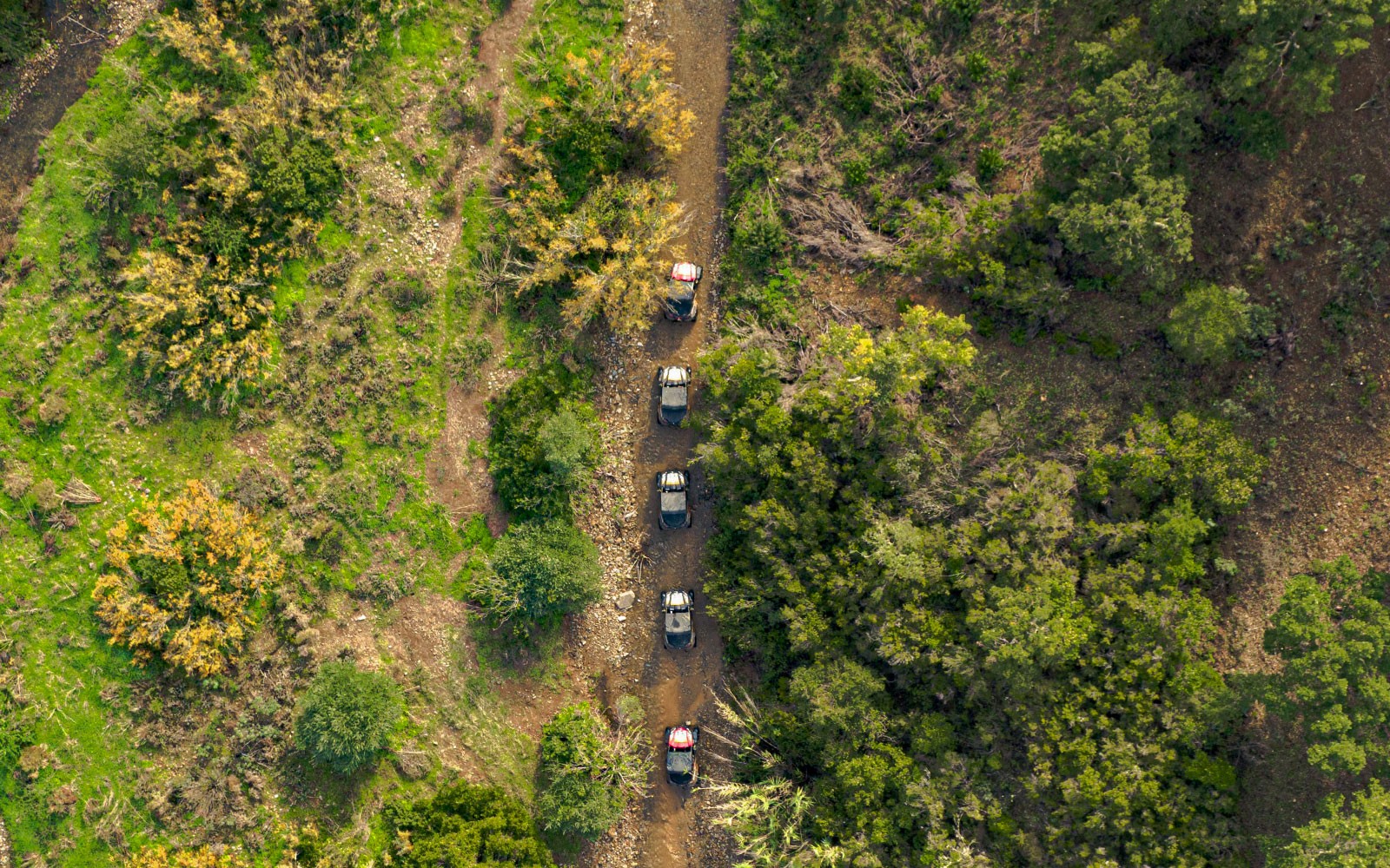 Aerial view of off-road vehicles on a dirt trail through lush greenery in Albufeira.