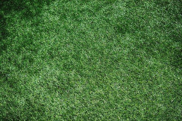 A swatch of soft, green, premium artificial turf by AGL Grass North in Sacramento.