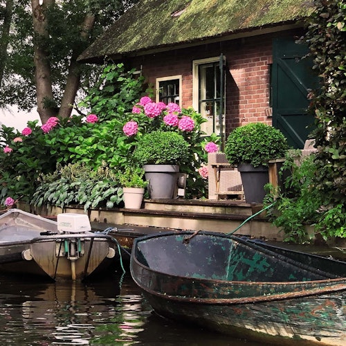 Pondok di tepi air dengan atap berlumut, bunga hydrangea, tanaman dalam pot, dan dua perahu yang ditambatkan di dekatnya. Pohon dan tanaman hijau mengelilingi area tersebut.
