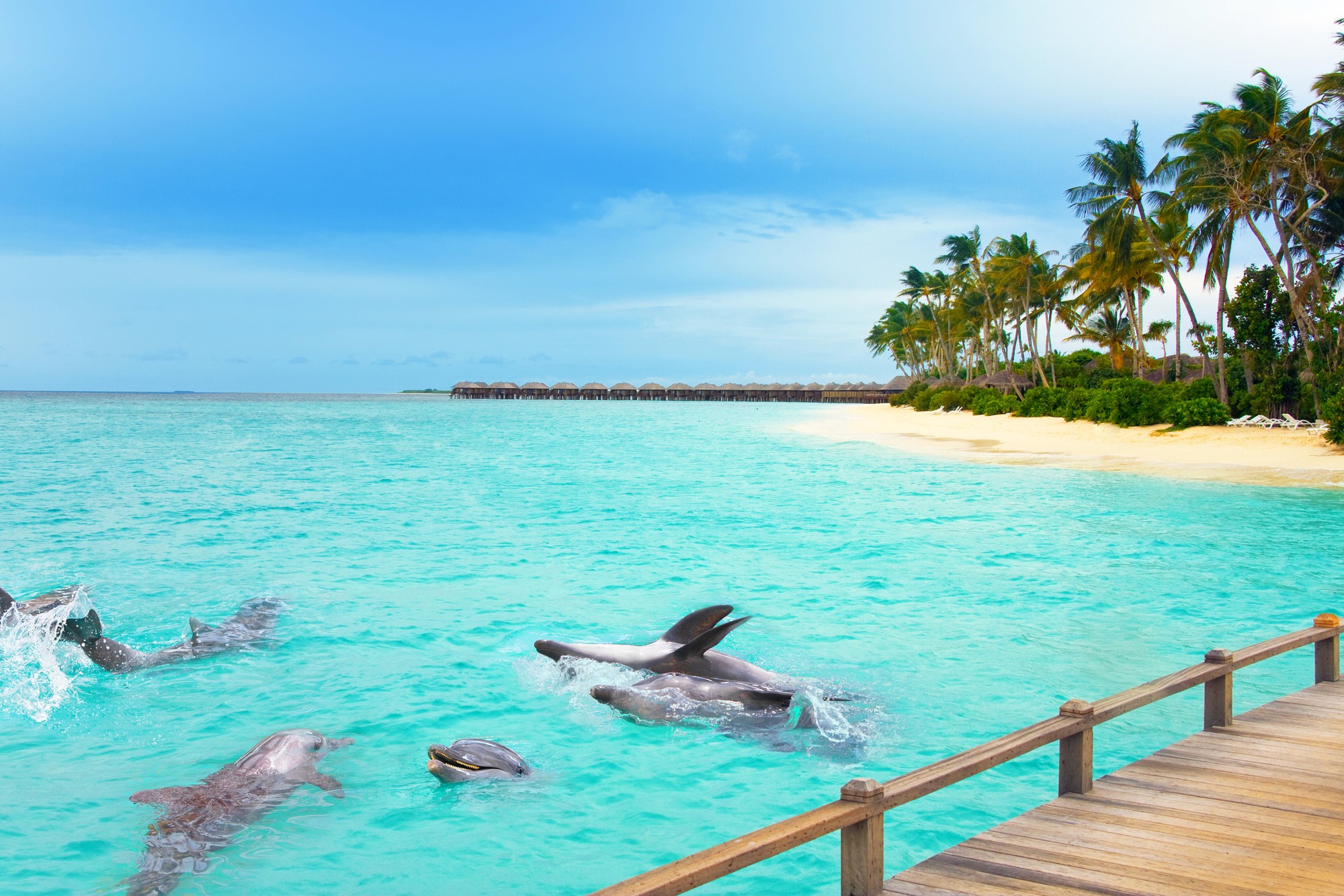 a large building with a statue in the middle of a garden