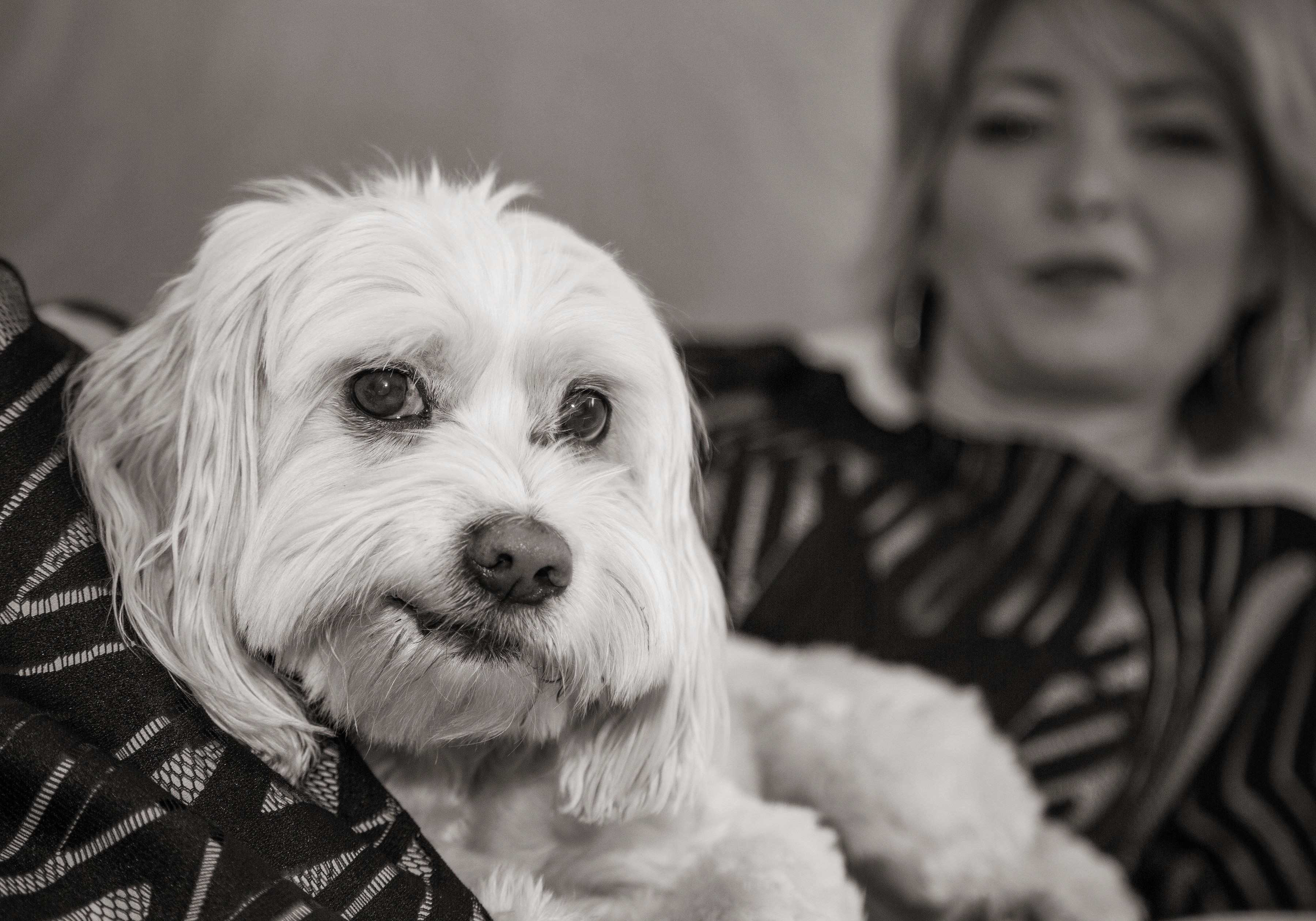 Black and white photo of Cheryl Carreau and her white dog.