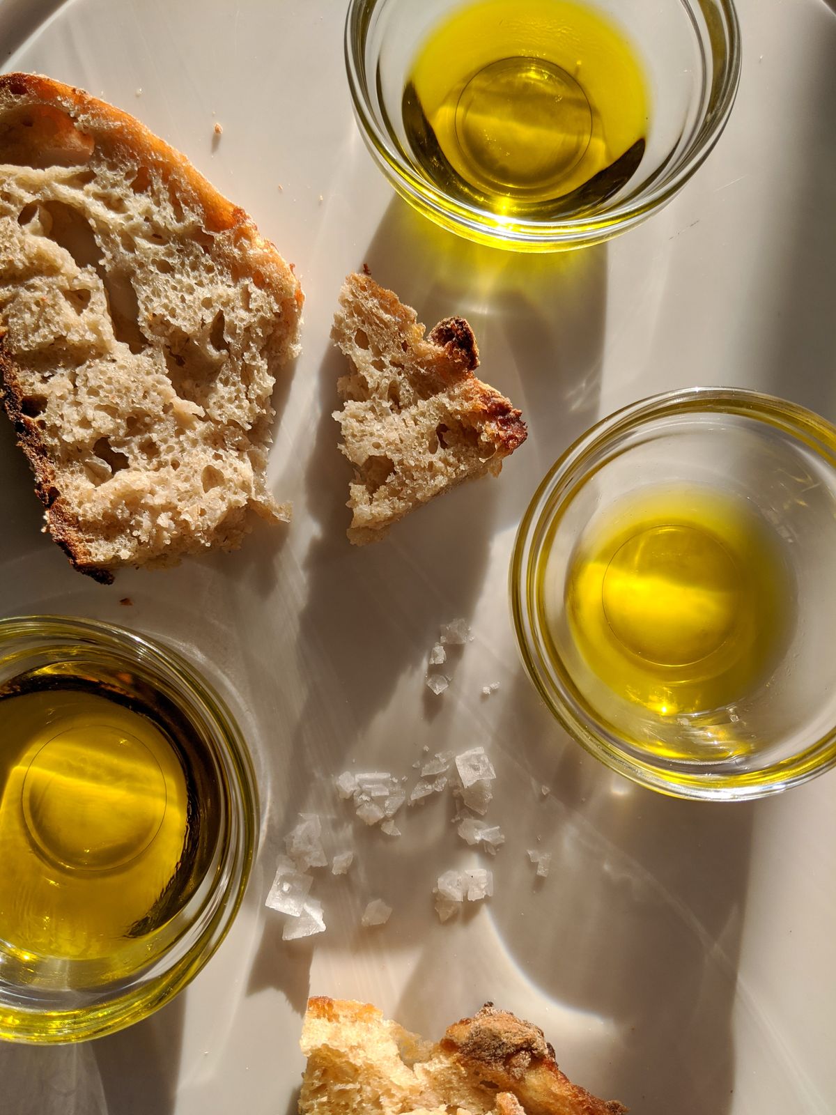 Olive oil and rustic Tuscan bread