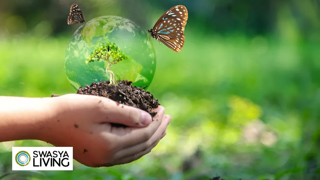 Biodiversity Conservation