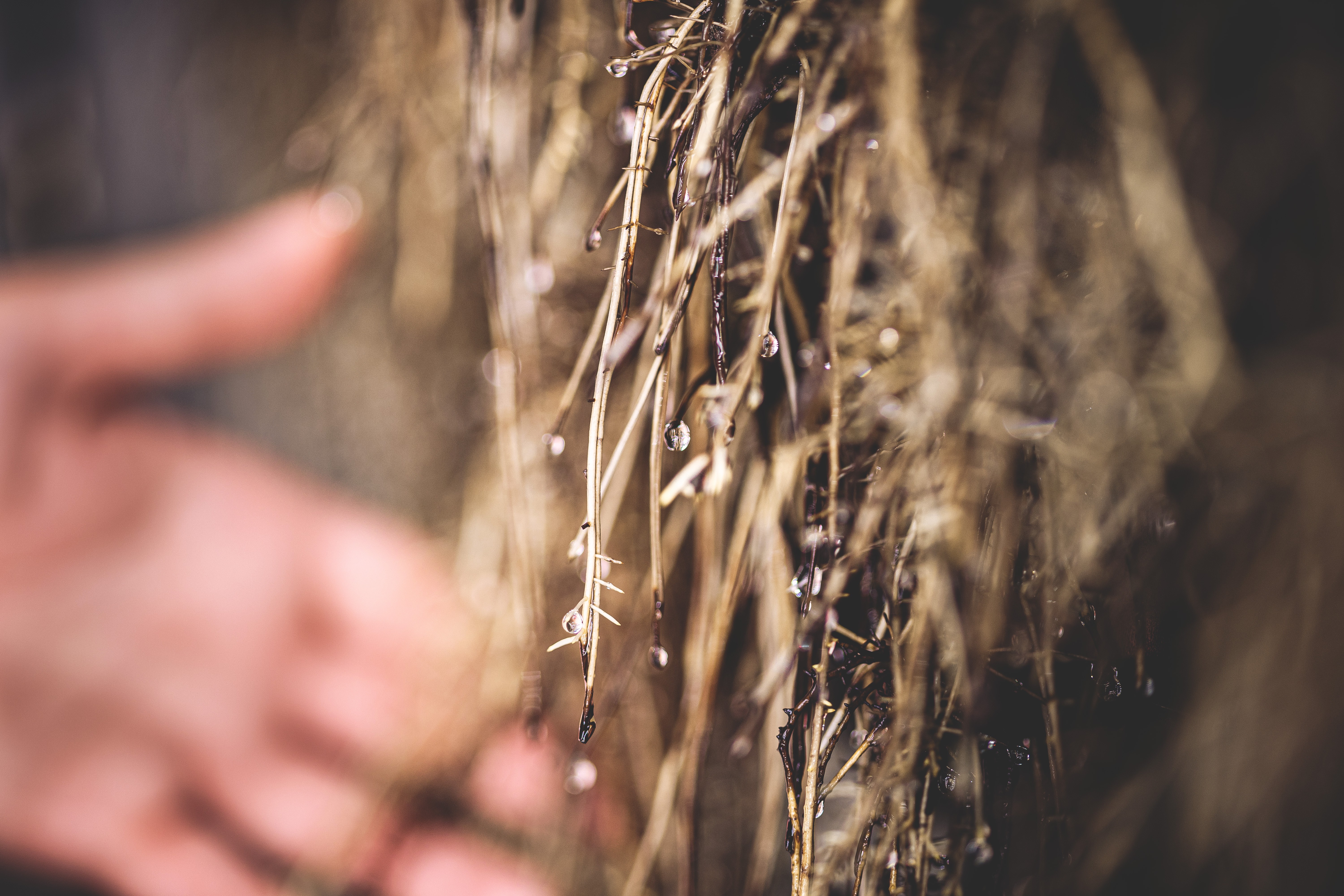A smiling young man with crossed arms, wearing a plaid shirt and white t-shirt, poses against a dark background.