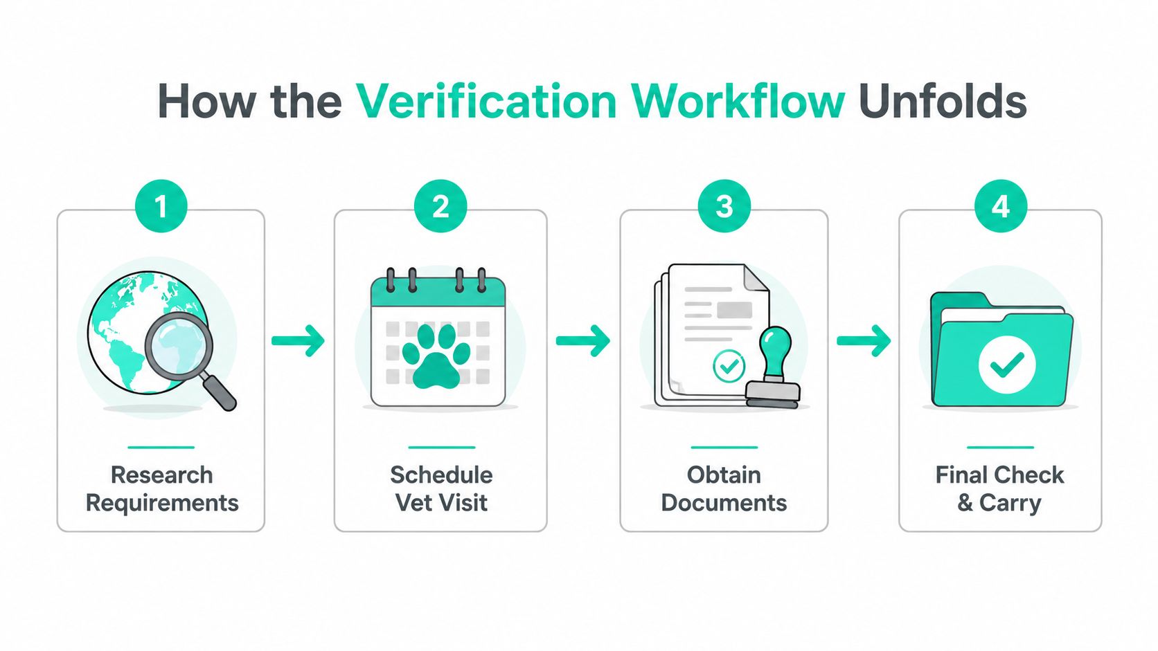 A four-step infographic showing the veterinary travel documentation verification workflow from research to final document completion.