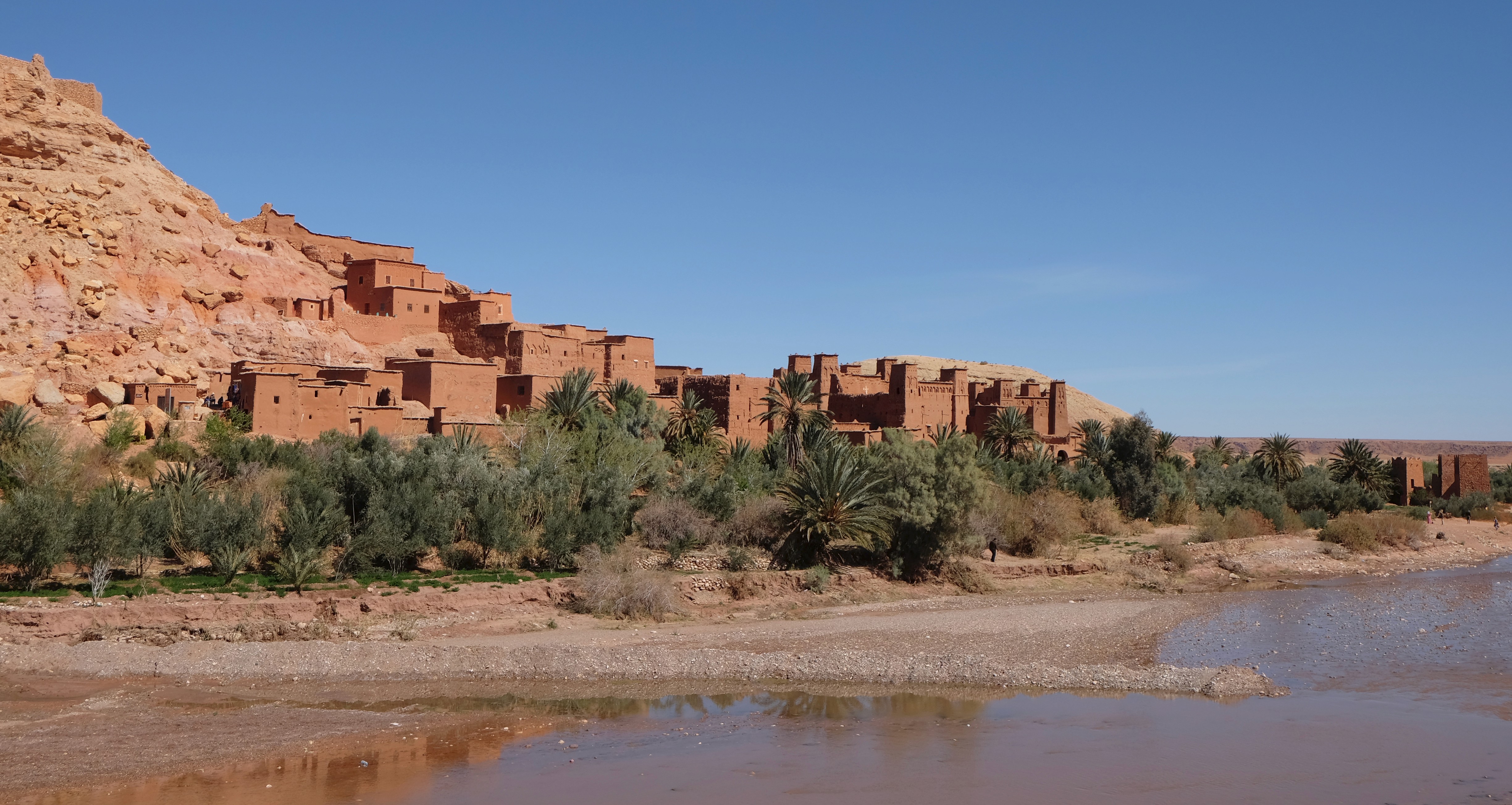 Woman painting at a wooden table in sunlight