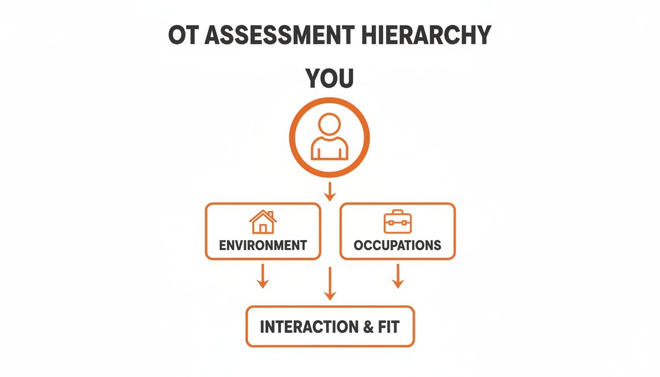 Diagram illustrating the occupational therapy assessment hierarchy: You, Environment, Occupations, and Interaction & Fit.