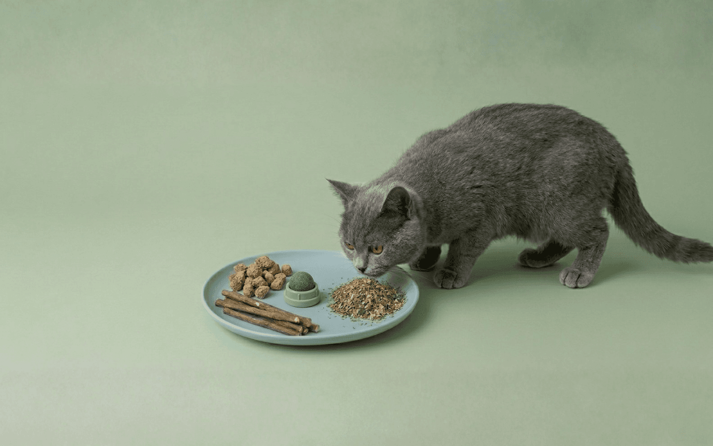 The image featured at the top of the about us page #1