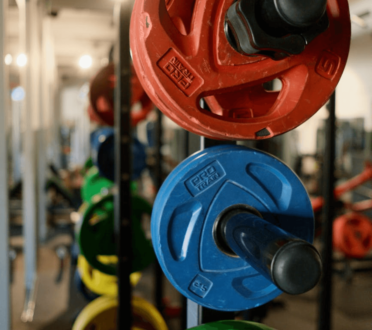 Close-up of colorful red, blue, and green Pro Train weight plates on a rack in a blurred gym setting.