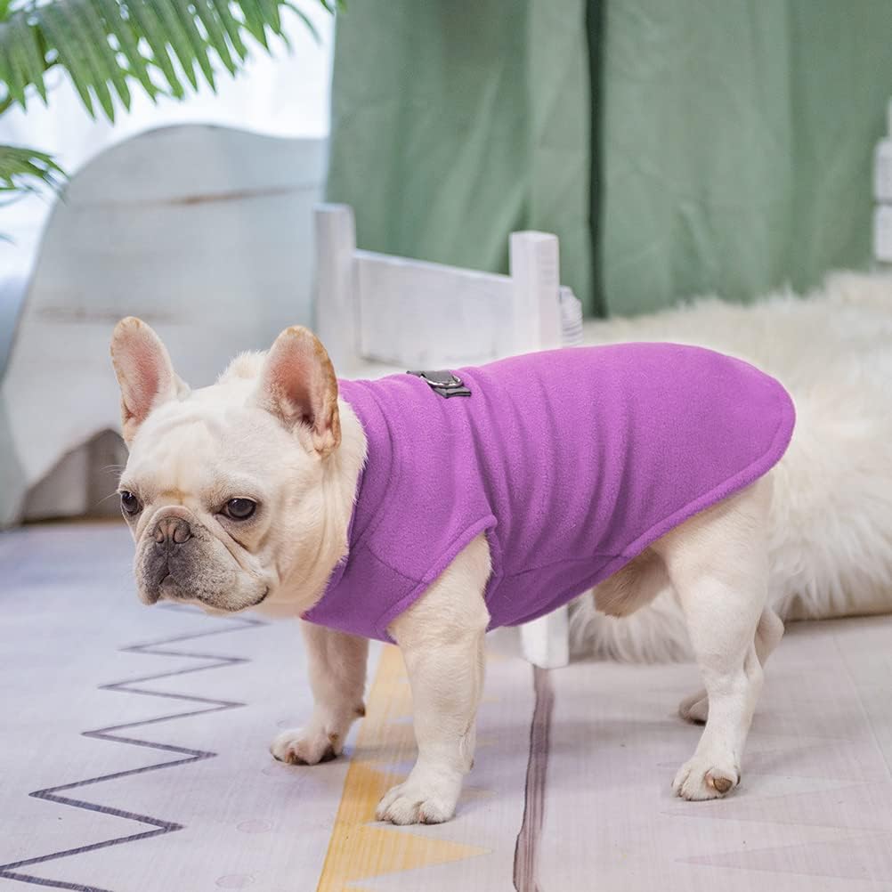 Dog wearing fleece vest